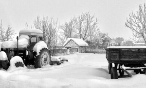 Шта се све радило ове године